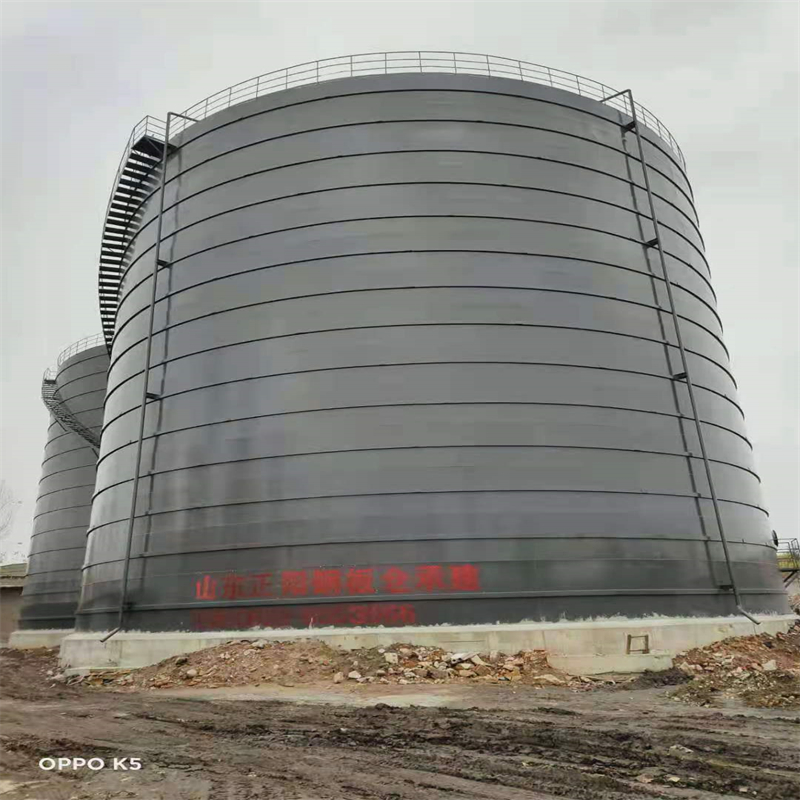 芦淞3万吨大型钢板库