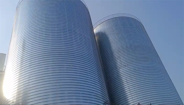 芦淞2座混凝土高架卷板仓